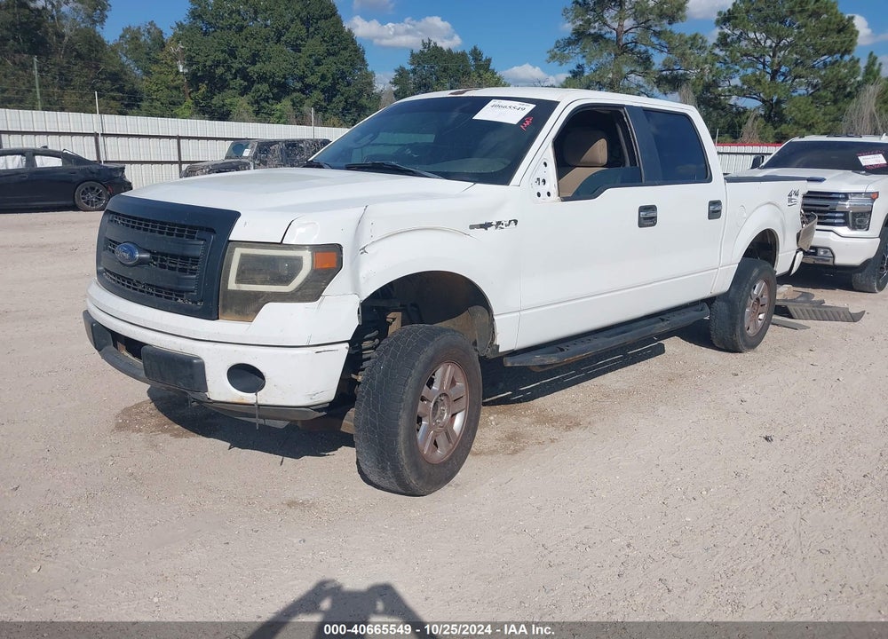 2012 FORD F-150 XLT VIN: 1FTFW1EF5CFC16648