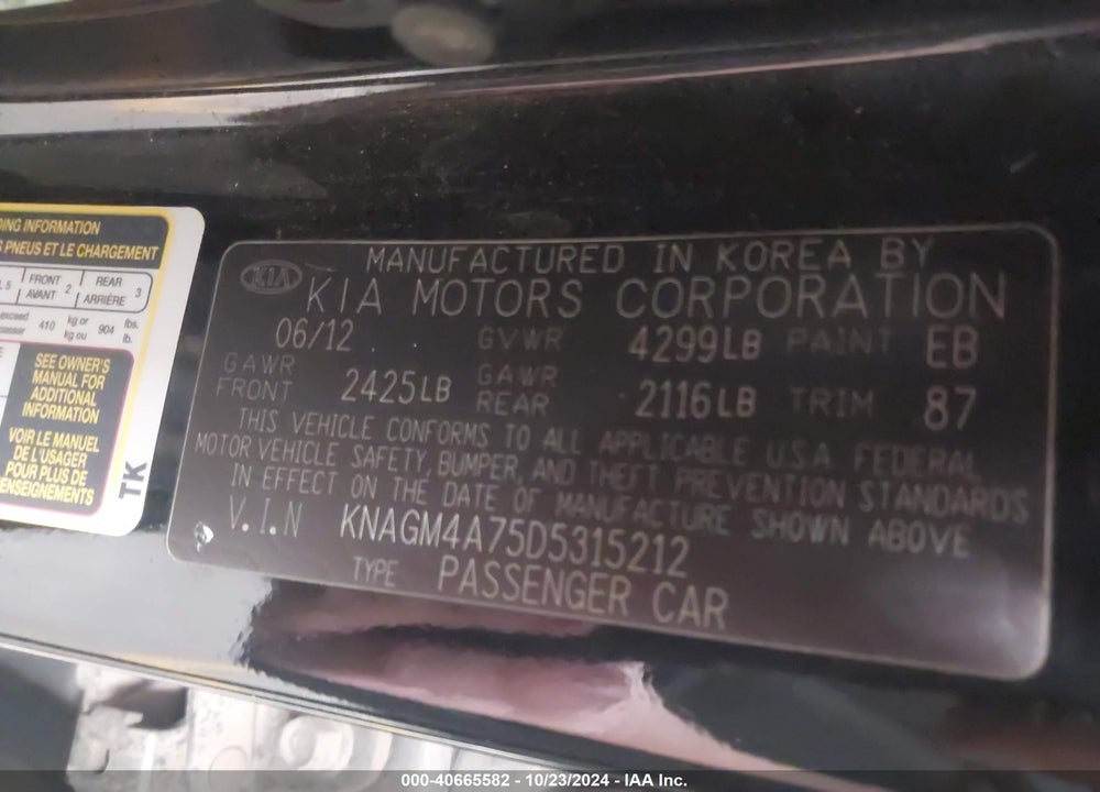 2013 KIA OPTIMA LX VIN: KNAGM4A75D5315212