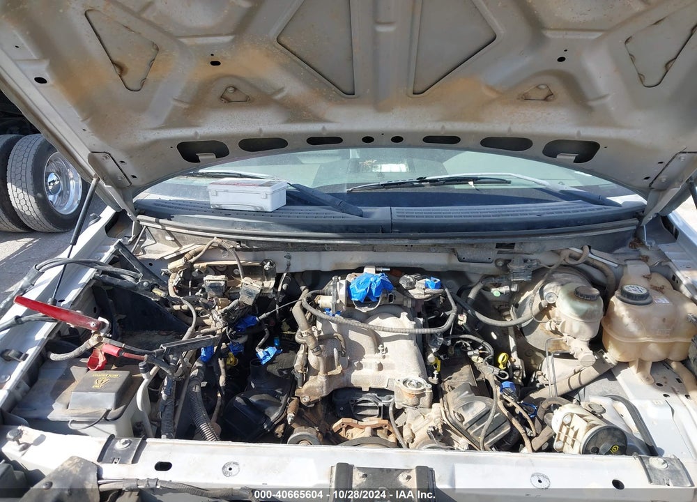 2005 FORD F-150 STX/XL/XLT VIN: 1FTRF12W15NA63616
