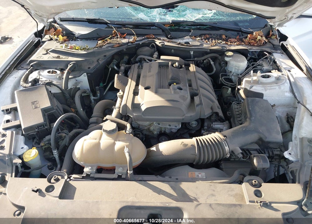 2016 FORD MUSTANG ECOBOOST VIN: 1FA6P8TH0G5205715