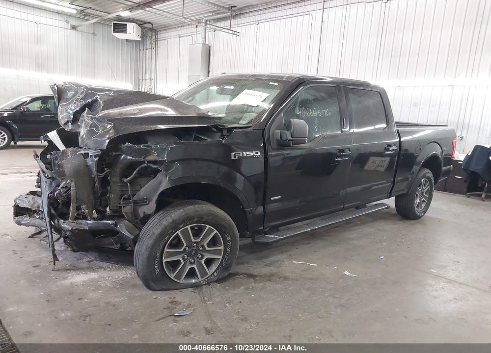2015 FORD F-150 XLT VIN: 1FTFW1EGXFFB41216