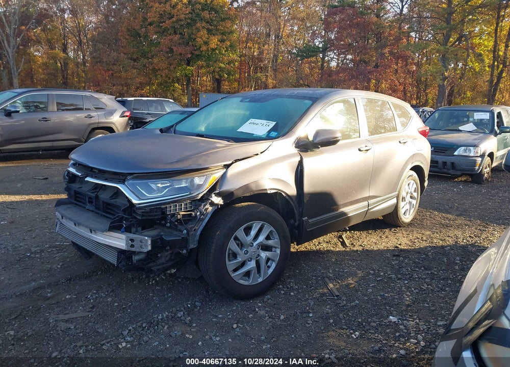 2019 HONDA CR-V EX VIN: 5J6RW2H56KA013196