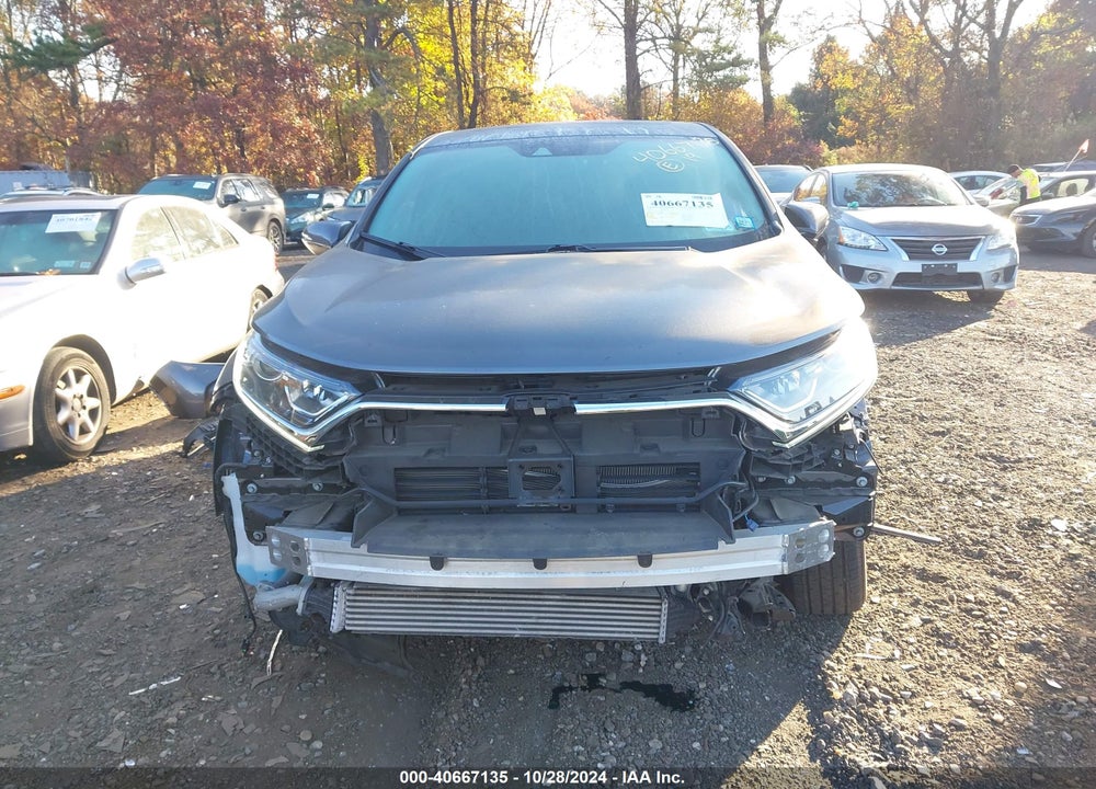 2019 HONDA CR-V EX VIN: 5J6RW2H56KA013196