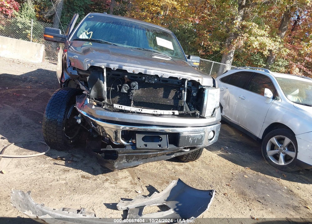 2013 FORD F-150 XLT VIN: 1FTFW1EF2DKD75295