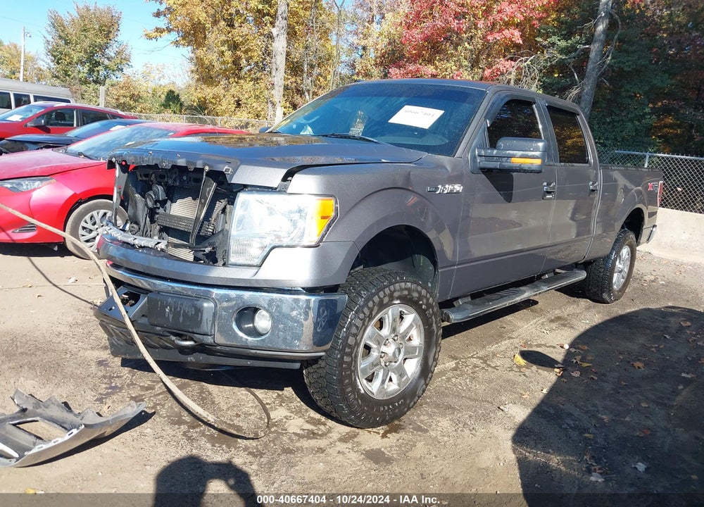 2013 FORD F-150 XLT VIN: 1FTFW1EF2DKD75295