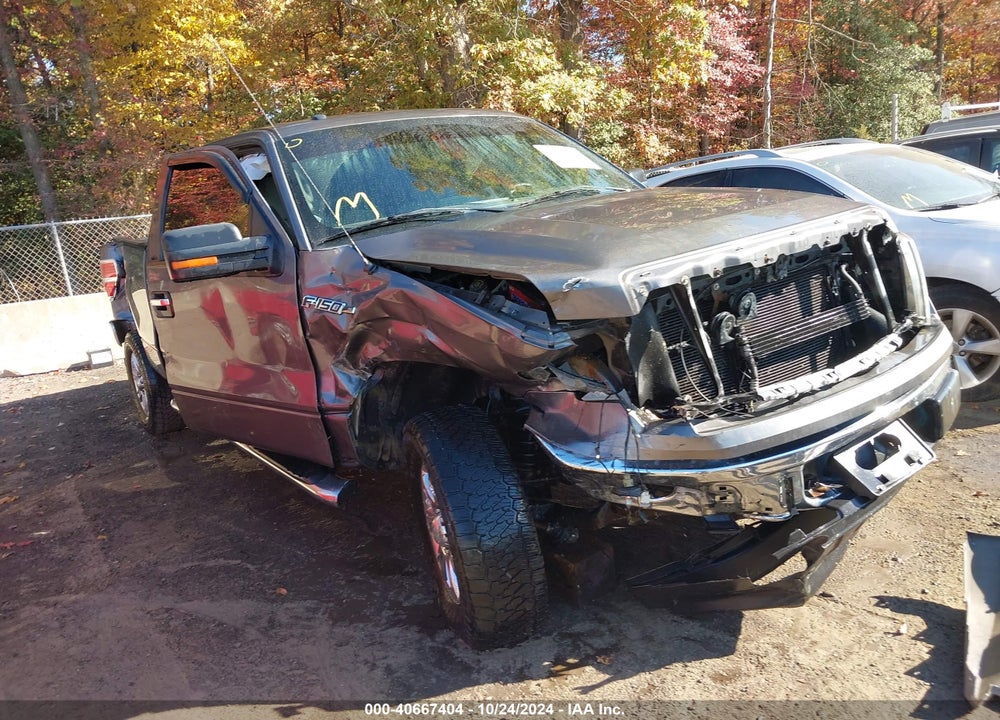 2013 FORD F-150 XLT VIN: 1FTFW1EF2DKD75295