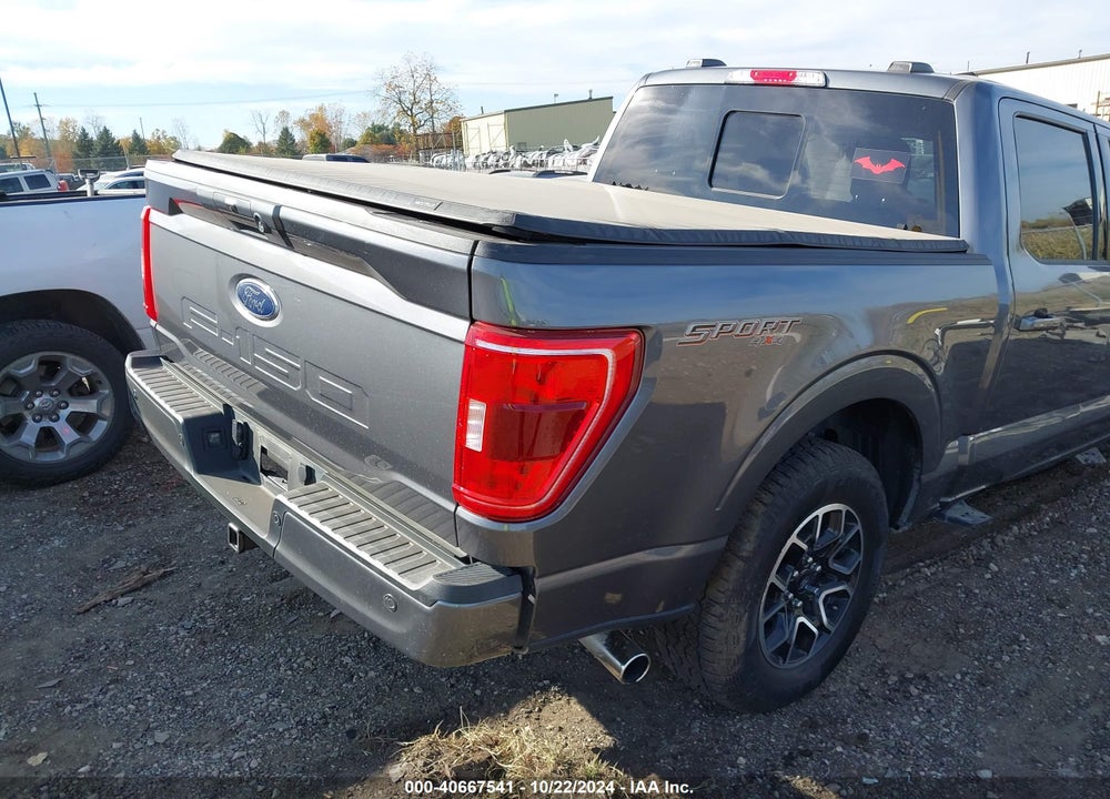 2023 FORD F-150 XLT VIN: 1FTFW1ED9PFA67892