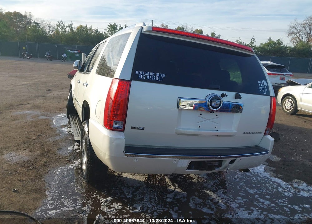2009 CADILLAC ESCALADE STANDARD VIN: 1GYFK23249R112364