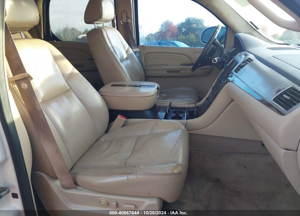 2009 CADILLAC ESCALADE STANDARD VIN: 1GYFK23249R112364