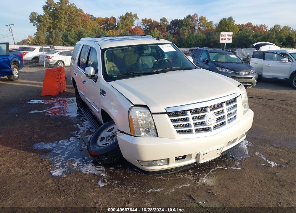 2009 CADILLAC ESCALADE STANDARD VIN: 1GYFK23249R112364