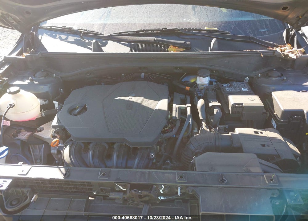 2023 KIA SPORTAGE X LINE VIN: 5XYK6CAF1PG110197