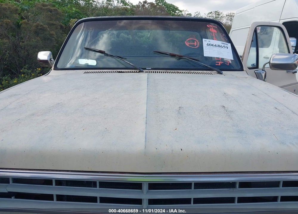 1986 CHEVROLET C10 VIN: 2GCDC14H8G1172600