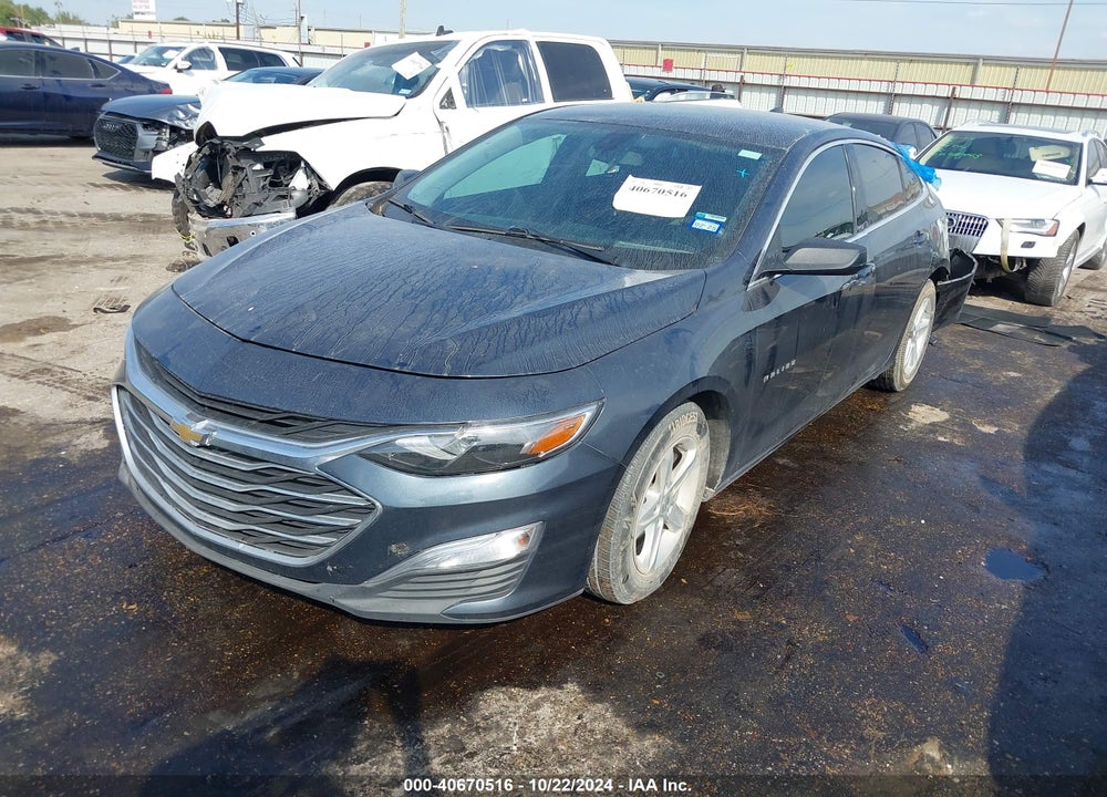 2019 CHEVROLET MALIBU 1LS VIN: 1G1ZB5ST7KF206706