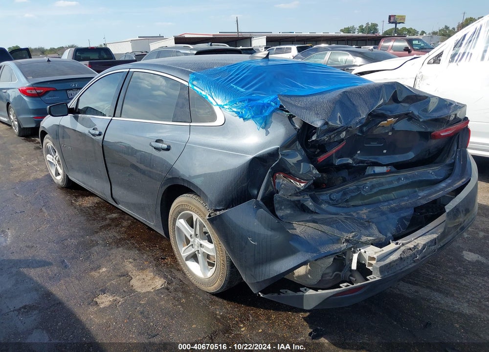 2019 CHEVROLET MALIBU 1LS VIN: 1G1ZB5ST7KF206706