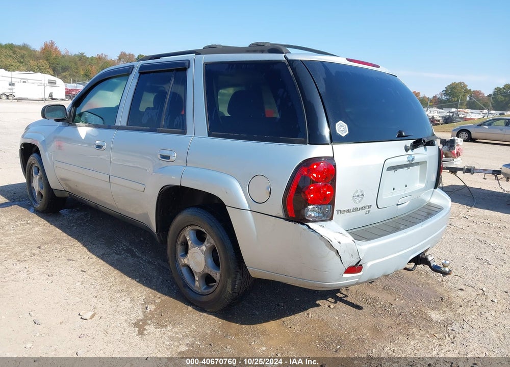 2008 CHEVROLET TRAILBLAZER LT VIN: 1GNDT13S982100262