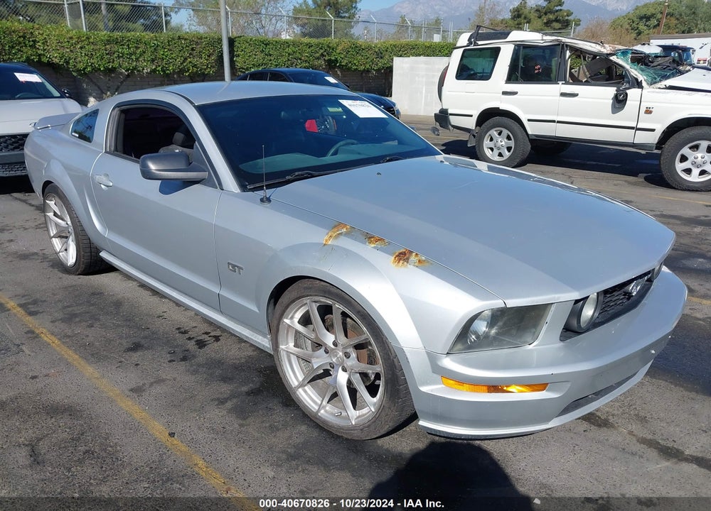 2005 FORD MUSTANG GT DELUXE/GT PREMIUM VIN: 1ZVHT82H655258204
