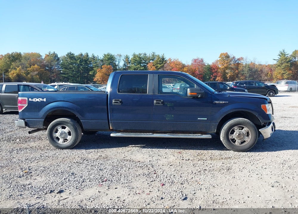 2014 FORD F-150 XLT VIN: 1FTFW1ET6EFA33803