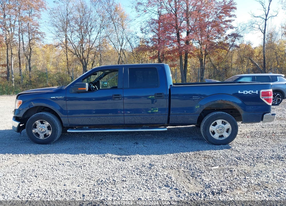 2014 FORD F-150 XLT VIN: 1FTFW1ET6EFA33803