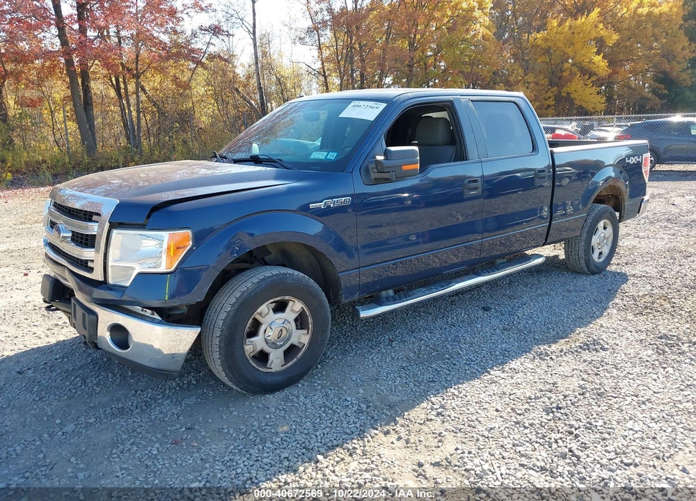 2014 FORD F-150 XLT VIN: 1FTFW1ET6EFA33803