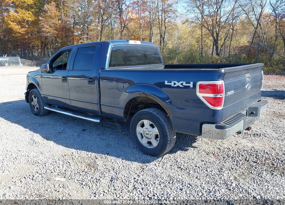 2014 FORD F-150 XLT VIN: 1FTFW1ET6EFA33803