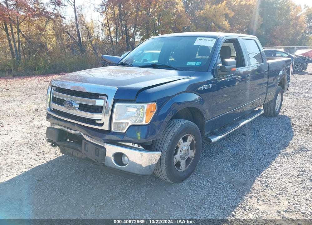 2014 FORD F-150 XLT VIN: 1FTFW1ET6EFA33803