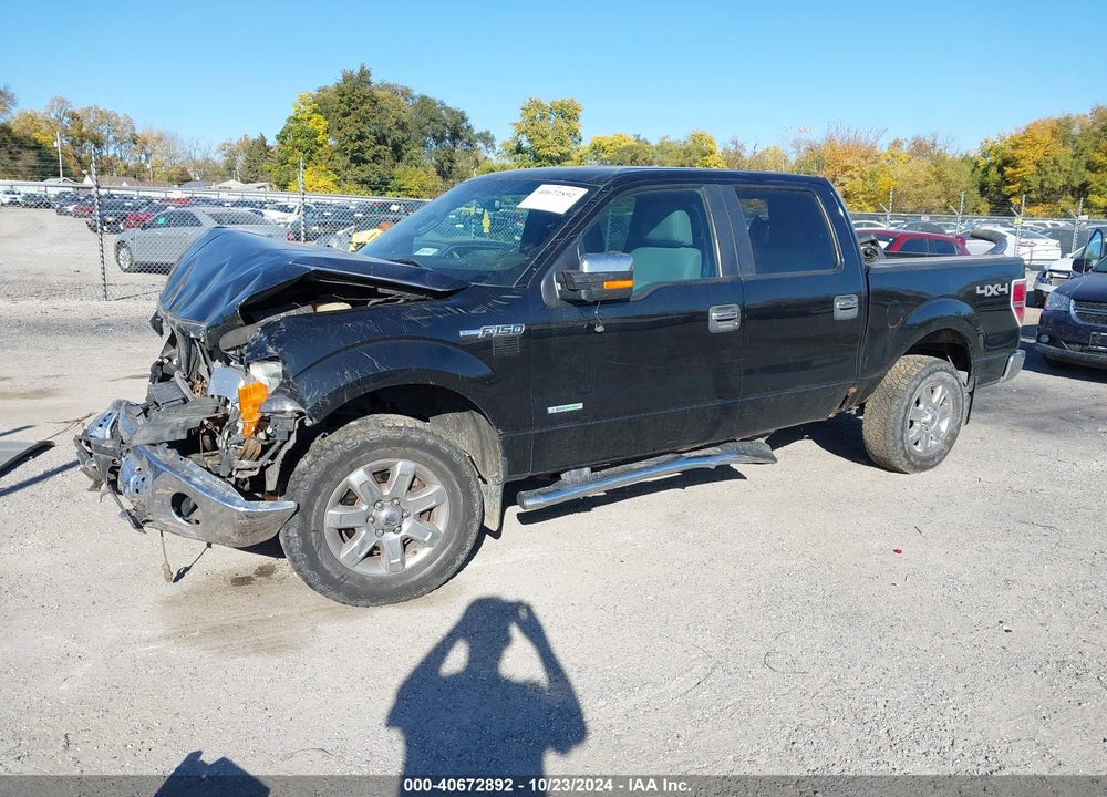 2011 FORD F-150 XLT VIN: 1FTFW1ET9BFB30733