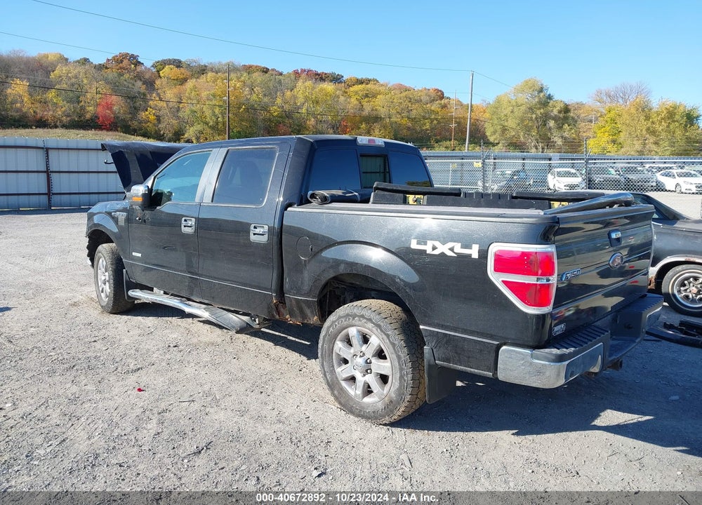2011 FORD F-150 XLT VIN: 1FTFW1ET9BFB30733