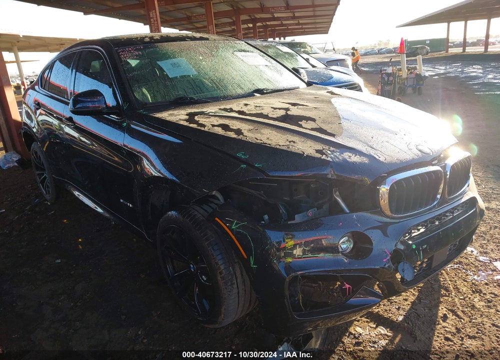 2019 BMW X6 SDRIVE35I VIN: 5UXKU0C56K0H99520