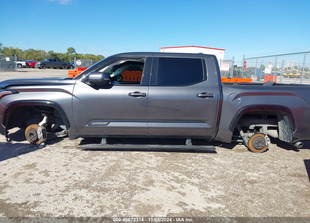 2023 TOYOTA TUNDRA 2WD PLATINUM VIN: 5TFNA5AB0PX020248