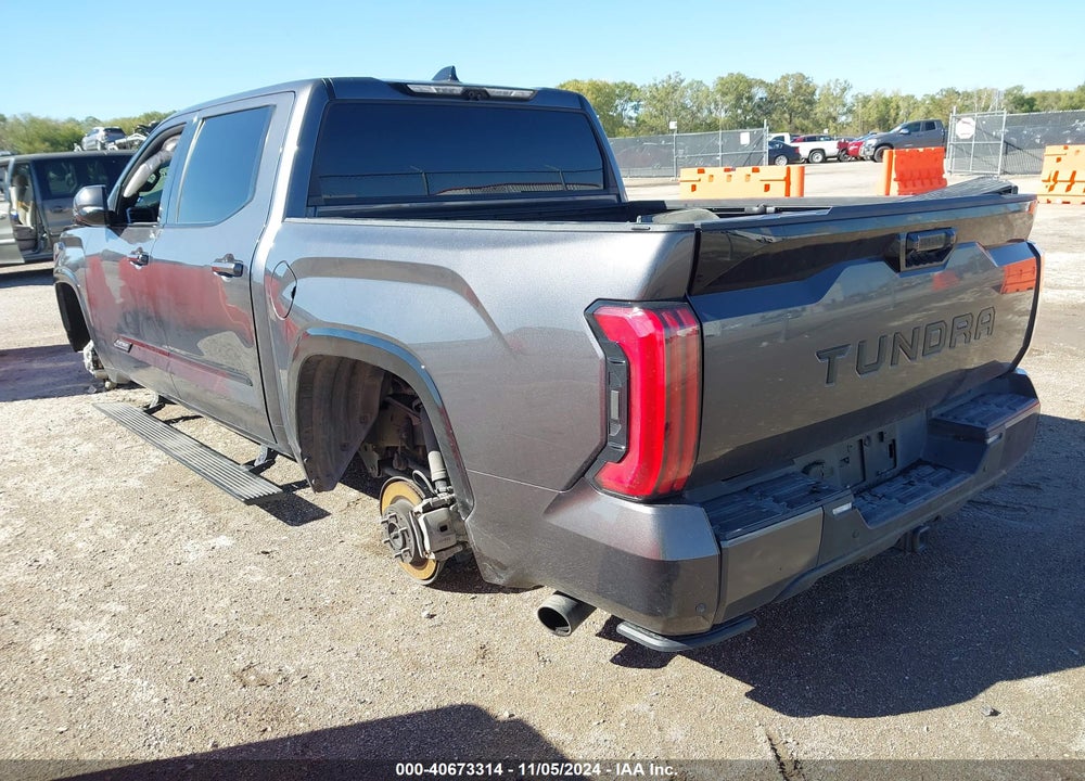 2023 TOYOTA TUNDRA 2WD PLATINUM VIN: 5TFNA5AB0PX020248