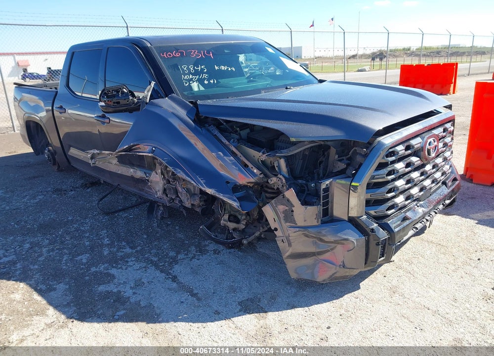 2023 TOYOTA TUNDRA 2WD PLATINUM VIN: 5TFNA5AB0PX020248