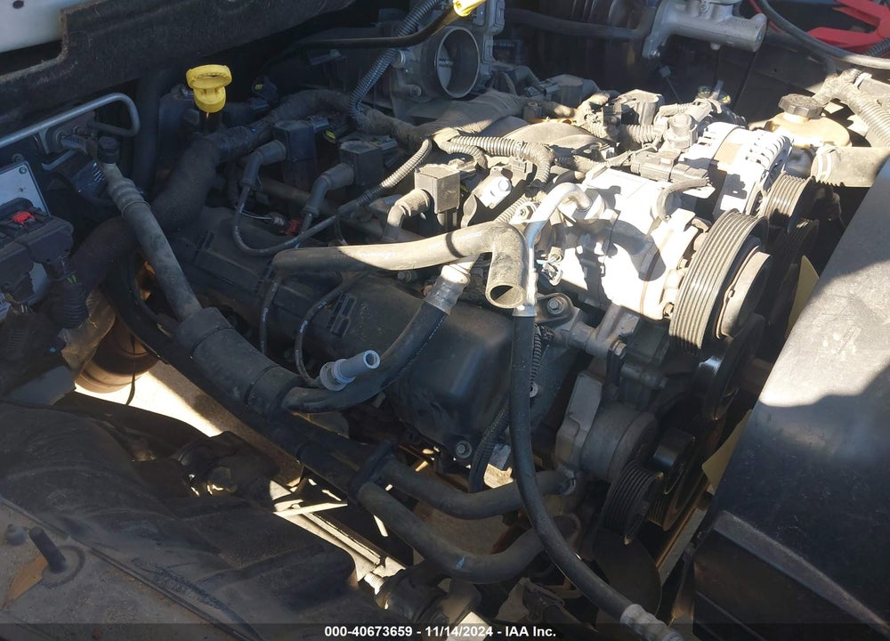 2009 DODGE RAM 1500 VIN: 1D3HB16P19J529544