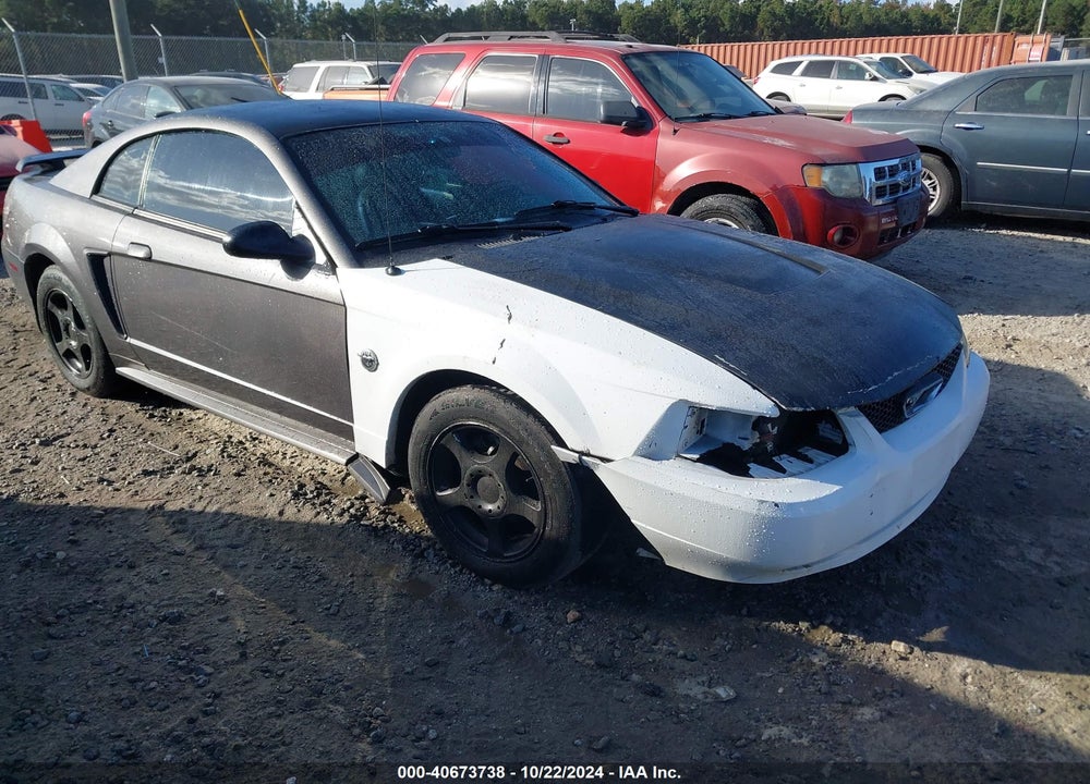 2004 FORD MUSTANG STANDARD VIN: 1FAFP40684F138959