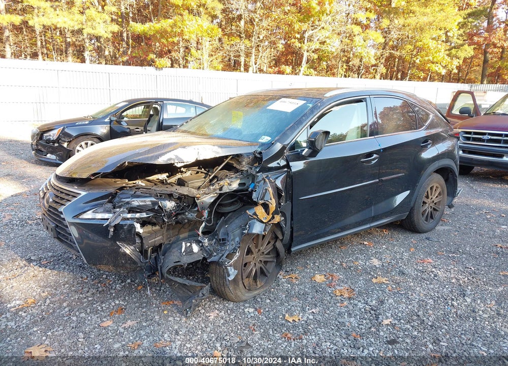 2019 LEXUS NX 300 VIN: JTJBARBZ4K2205654