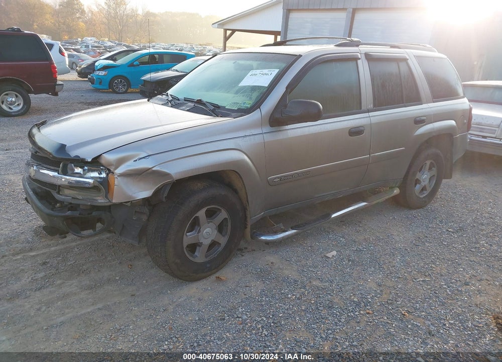 2002 CHEVROLET TRAILBLAZER LS VIN: 1GNDT13S422231848