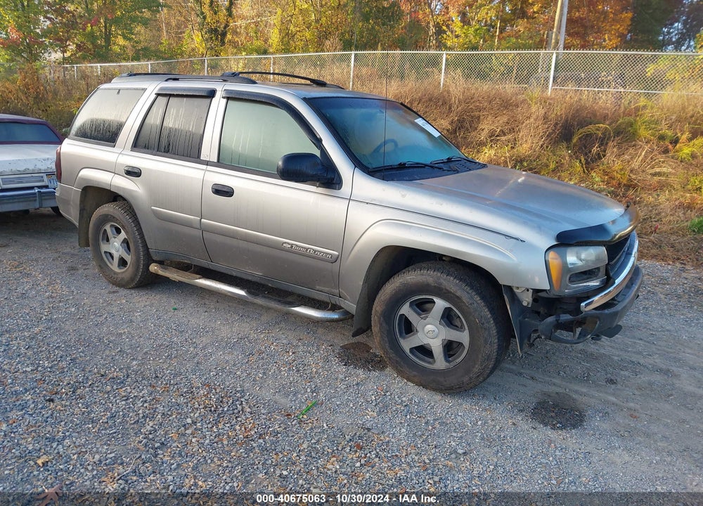 2002 CHEVROLET TRAILBLAZER LS VIN: 1GNDT13S422231848