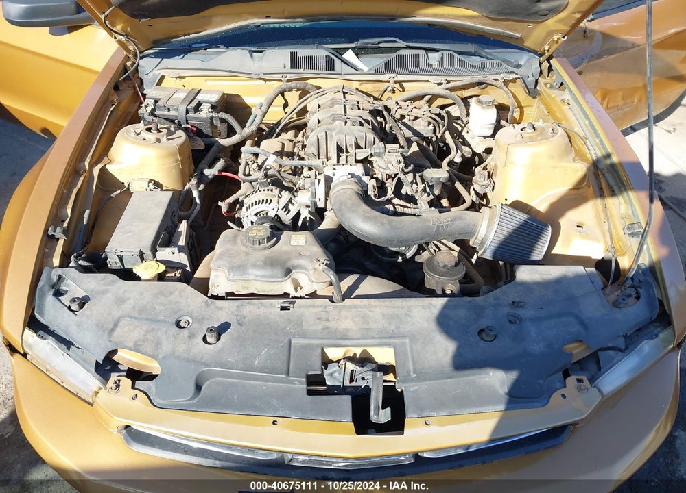2010 FORD MUSTANG V6/V6 PREMIUM VIN: 1ZVBP8EN2A5174208