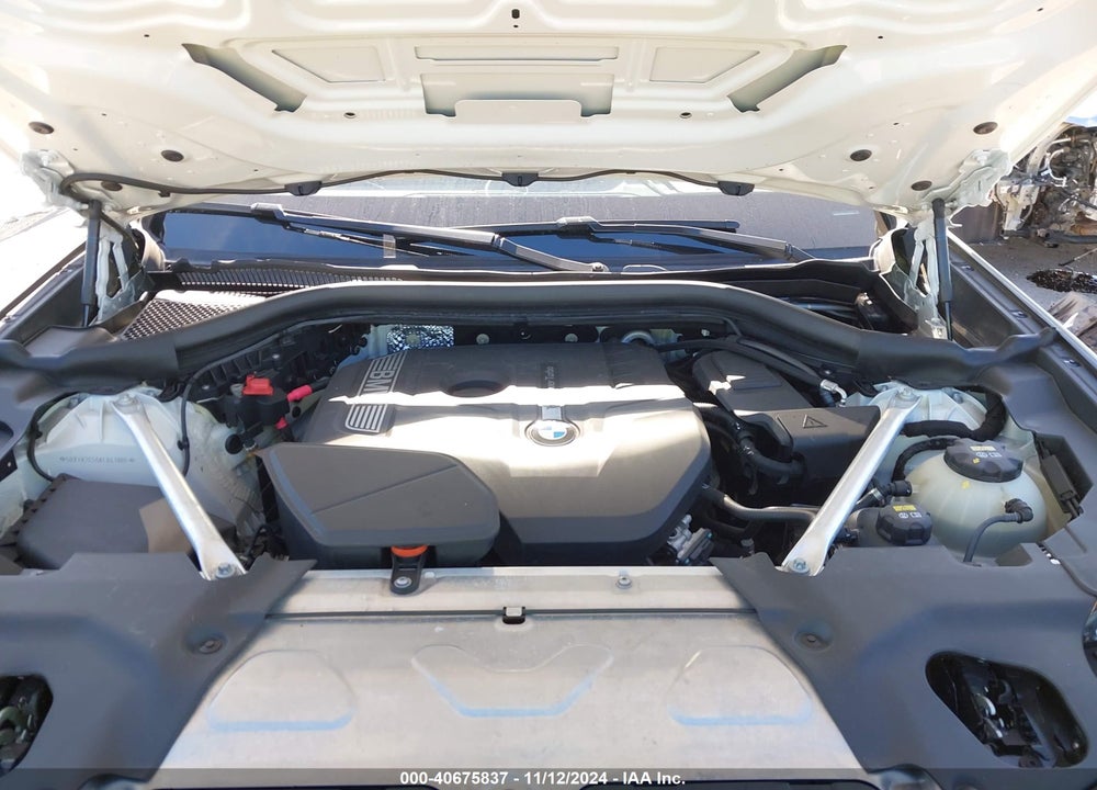 2019 BMW X3 SDRIVE30I VIN: 5UXTR7C56KLR43805