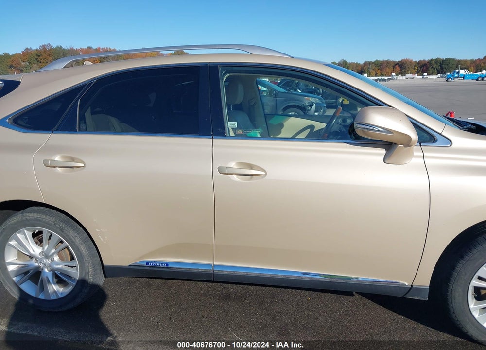 2010 LEXUS RX 450H VIN: JTJBC1BAXA2020206