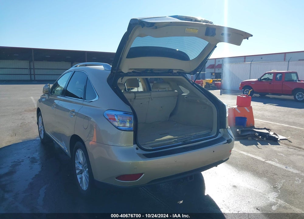 2010 LEXUS RX 450H VIN: JTJBC1BAXA2020206