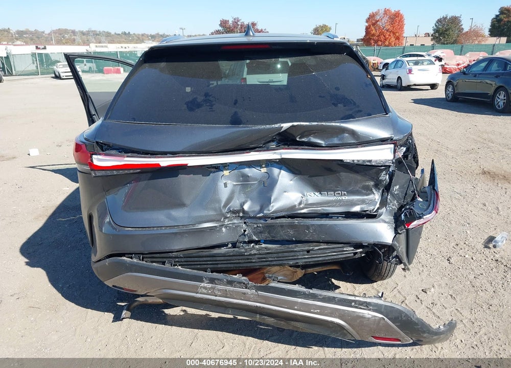 2024 LEXUS RX 350H PREMIUM PLUS VIN: 2T2BBMCA1RC050175