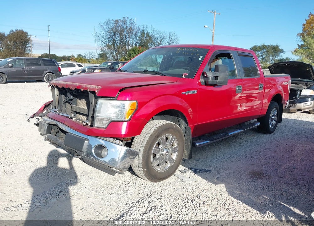2010 FORD F-150 XLT VIN: 1FTFW1EV7AFA02541