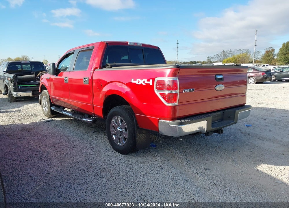 2010 FORD F-150 XLT VIN: 1FTFW1EV7AFA02541