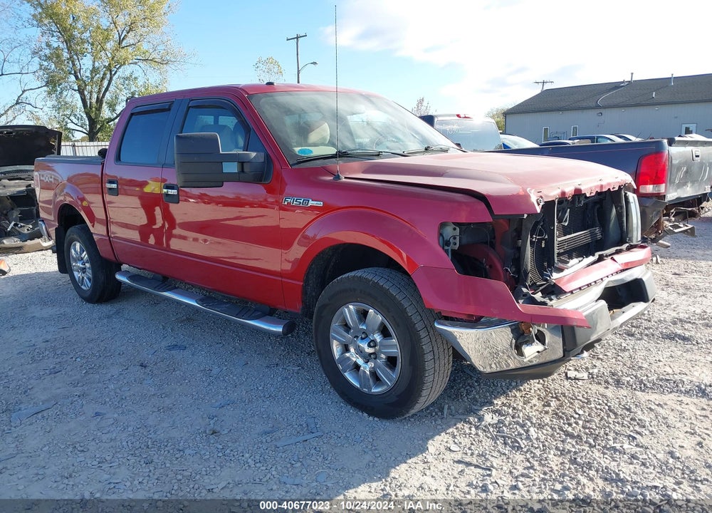 2010 FORD F-150 XLT VIN: 1FTFW1EV7AFA02541