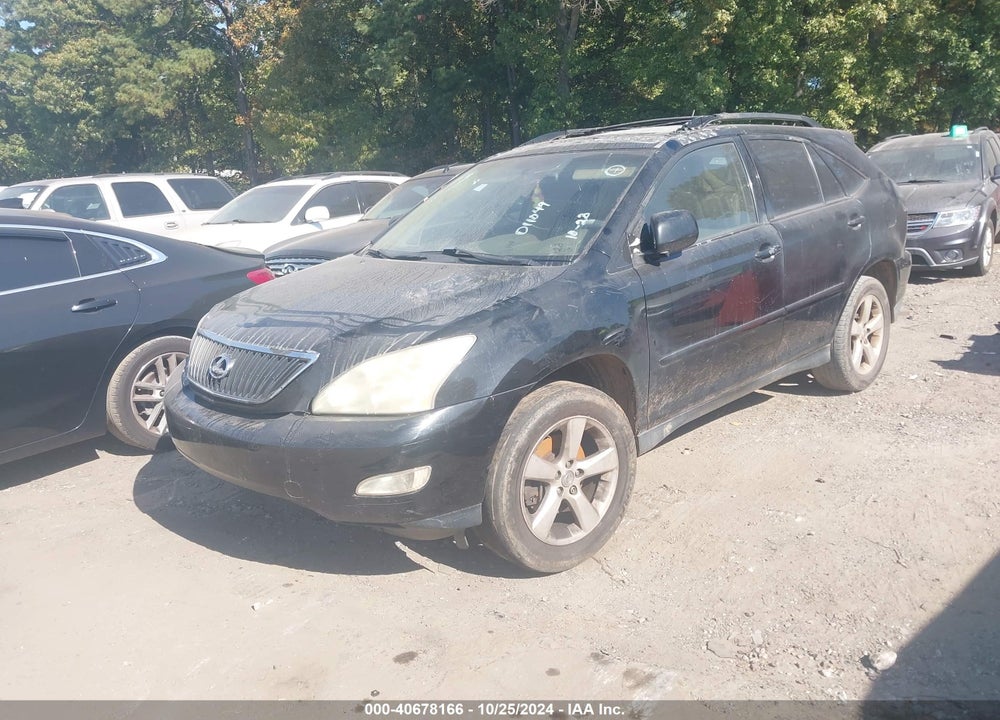 2004 LEXUS RX 330 VIN: JTJGA31U440011049