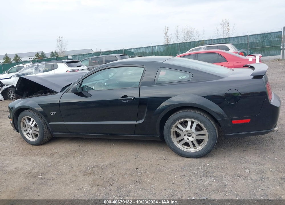 2006 FORD MUSTANG GT VIN: 1ZVFT82H665129789