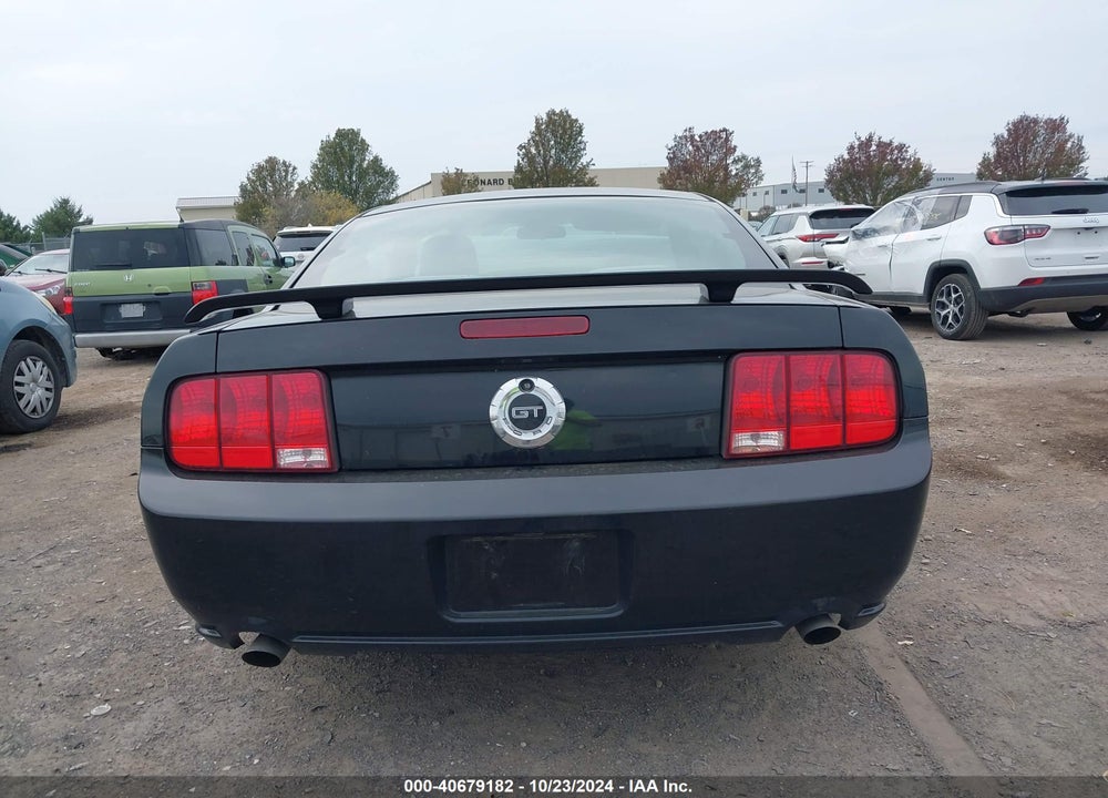 2006 FORD MUSTANG GT VIN: 1ZVFT82H665129789