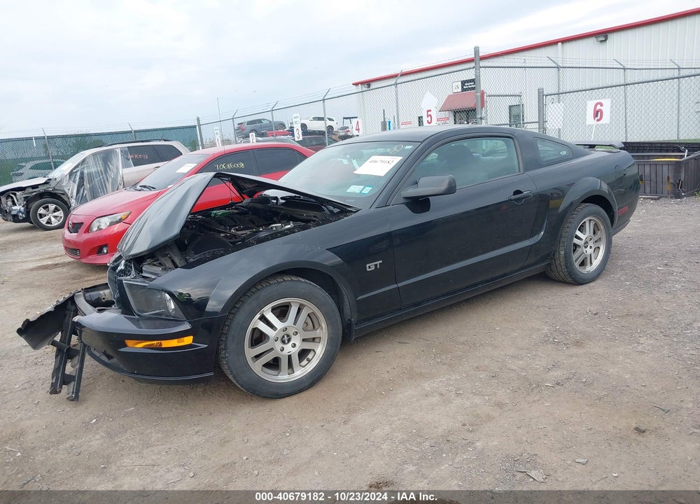 2006 FORD MUSTANG GT VIN: 1ZVFT82H665129789