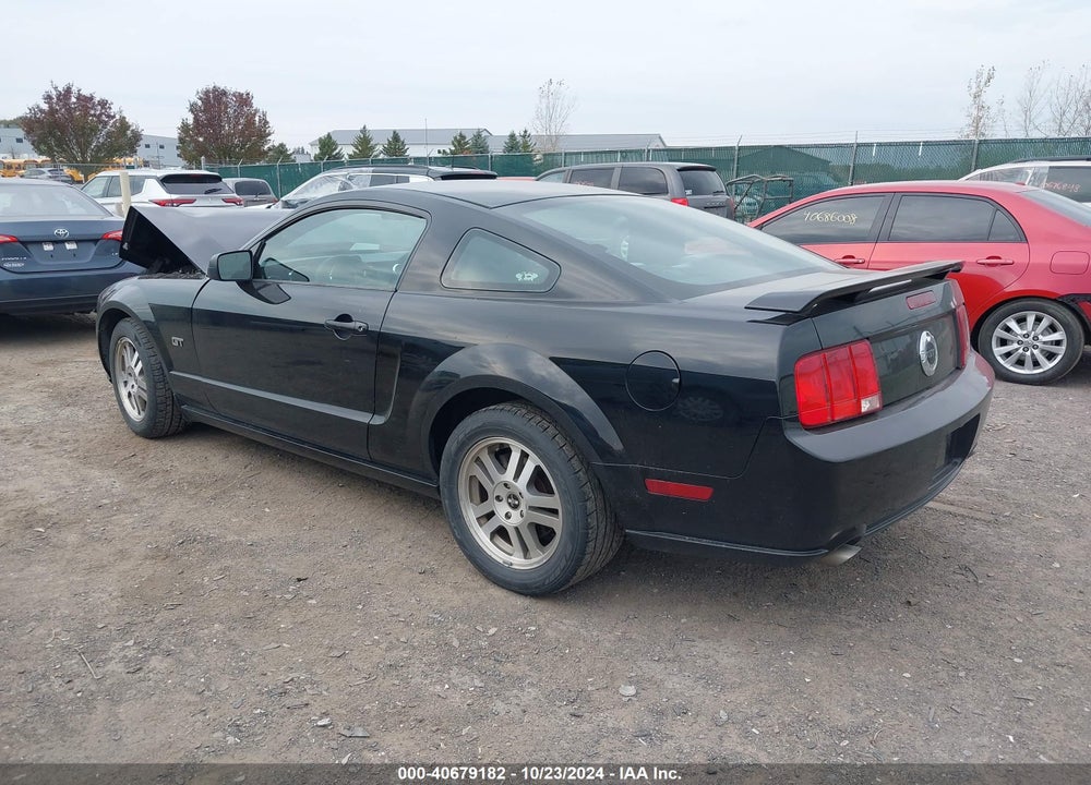 2006 FORD MUSTANG GT VIN: 1ZVFT82H665129789
