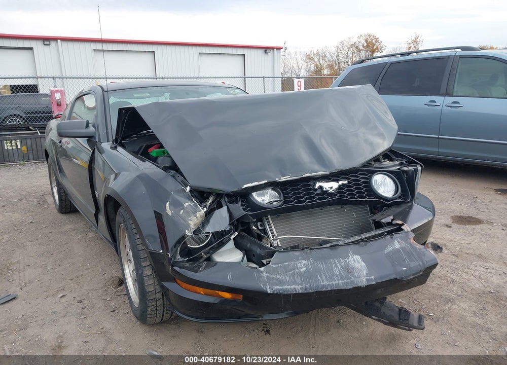 2006 FORD MUSTANG GT VIN: 1ZVFT82H665129789